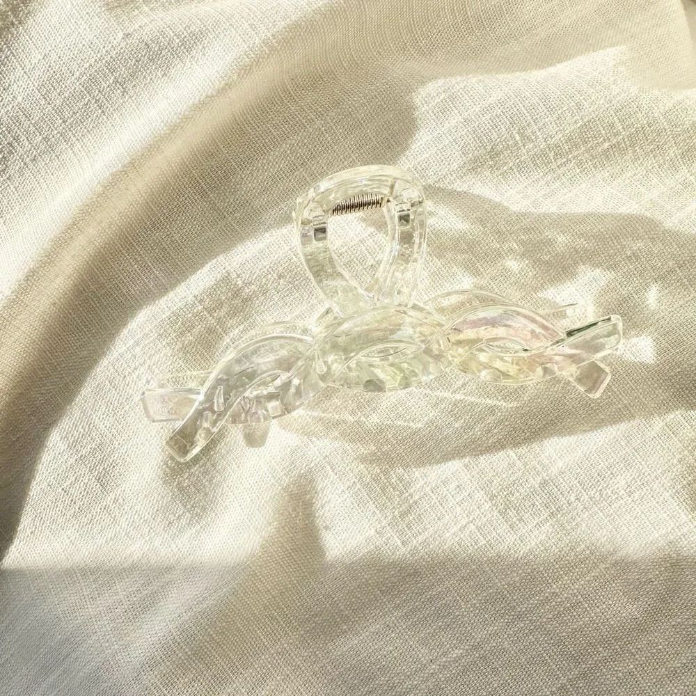 Iridescent braided twist hair claw ￼
